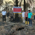 KLHK Segel 4 Perusahaan Demi Cegah Karhutla Riau, 1 Pabrik Sawit Ditutup