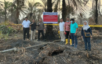 KLHK Segel 4 Perusahaan Demi Cegah Karhutla Riau, 1 Pabrik Sawit Ditutup