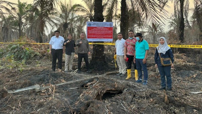 KLHK Segel 4 Perusahaan Demi Cegah Karhutla Riau, 1 Pabrik Sawit Ditutup