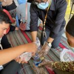 Sampah Rumah Tangga Bisa Jadi Solusi Lingkungan