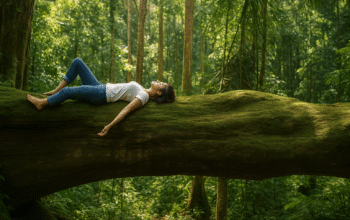 Forest Bathing: Terapi Alami yang Ampuh Atasi Stres dan Tingkatkan Imunitas