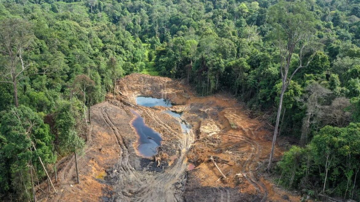 5 Fakta Mengejutkan Hak Lingkungan: Mahasiswa Desak Pemerintah Benahi Tata Kelola SDA