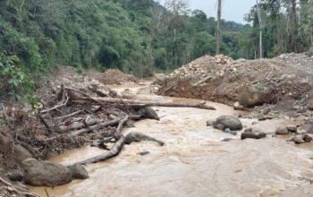 Tambang Emas Ilegal Merangin: Antara Harapan Ekonomi dan Ancaman Nyata