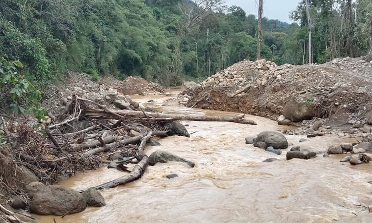 Tambang Emas Ilegal Merangin: Antara Harapan Ekonomi dan Ancaman Nyata