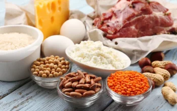 Dampak Kelebihan Protein yang Mengejutkan: 8 Bahaya Fatal bagi Kesehatan Tubuh