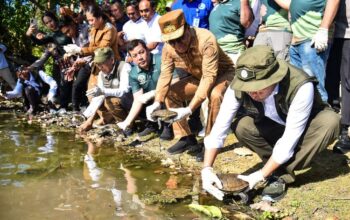 7 Fakta Mengejutkan kura‑kura leher ular Rote yang Harus Anda Ketahui