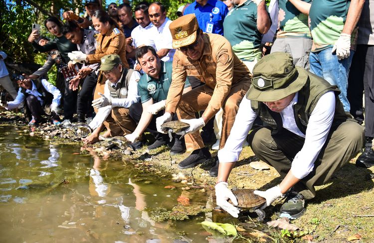 7 Fakta Mengejutkan kura‑kura leher ular Rote yang Harus Anda Ketahui