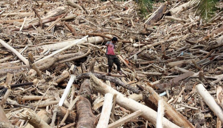 aktivitas ilegal Sumatera memicu bencana lingkungan