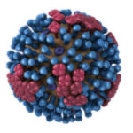 Flu Varian Baru AS Menggila: 7 Fakta Lonjakan Kasus di Amerika, China, dan Jepang