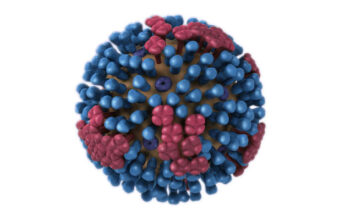 Flu Varian Baru AS Menggila: 7 Fakta Lonjakan Kasus di Amerika, China, dan Jepang