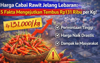 harga cabai rawit jelang lebaran